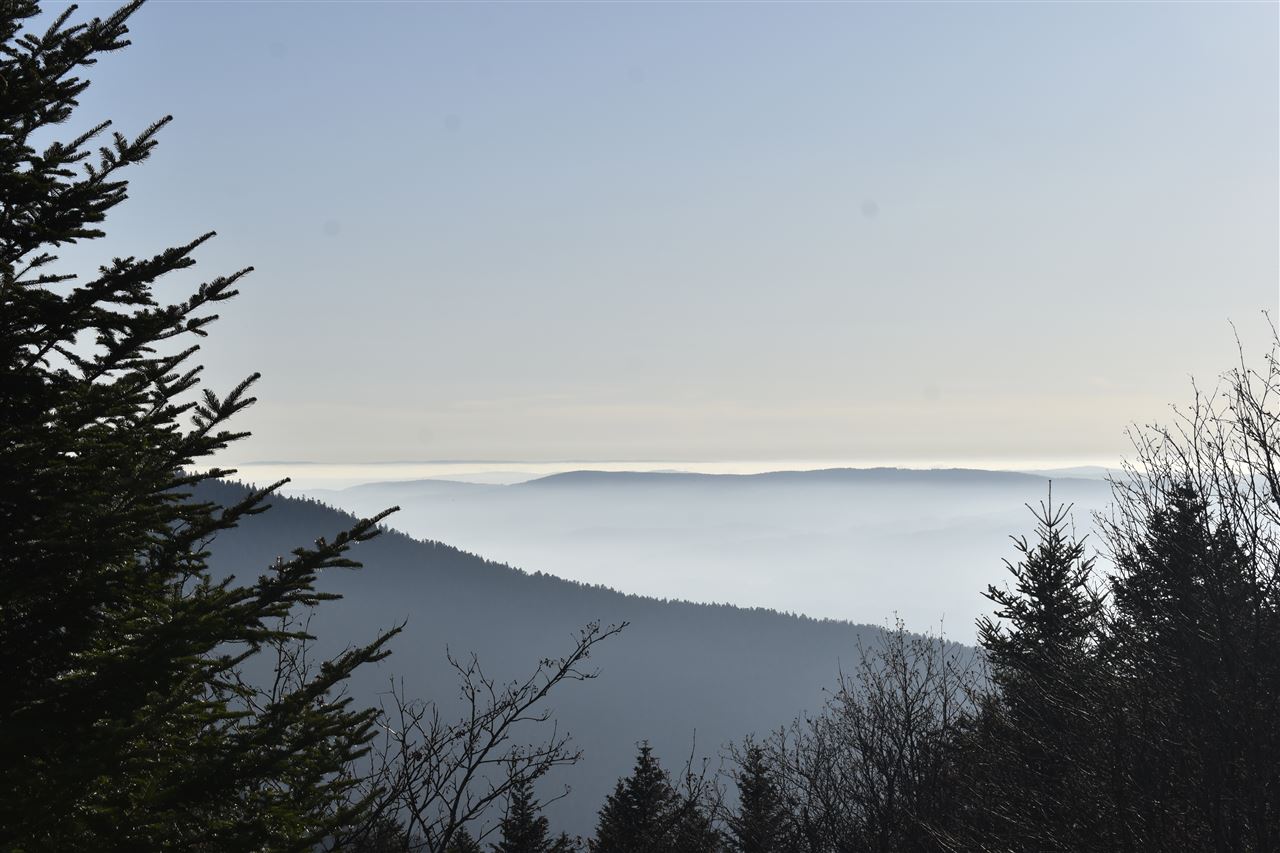Paysage du Col du Béal et des Monts du Forez en Auvergne, randonnée équestre Equi'del