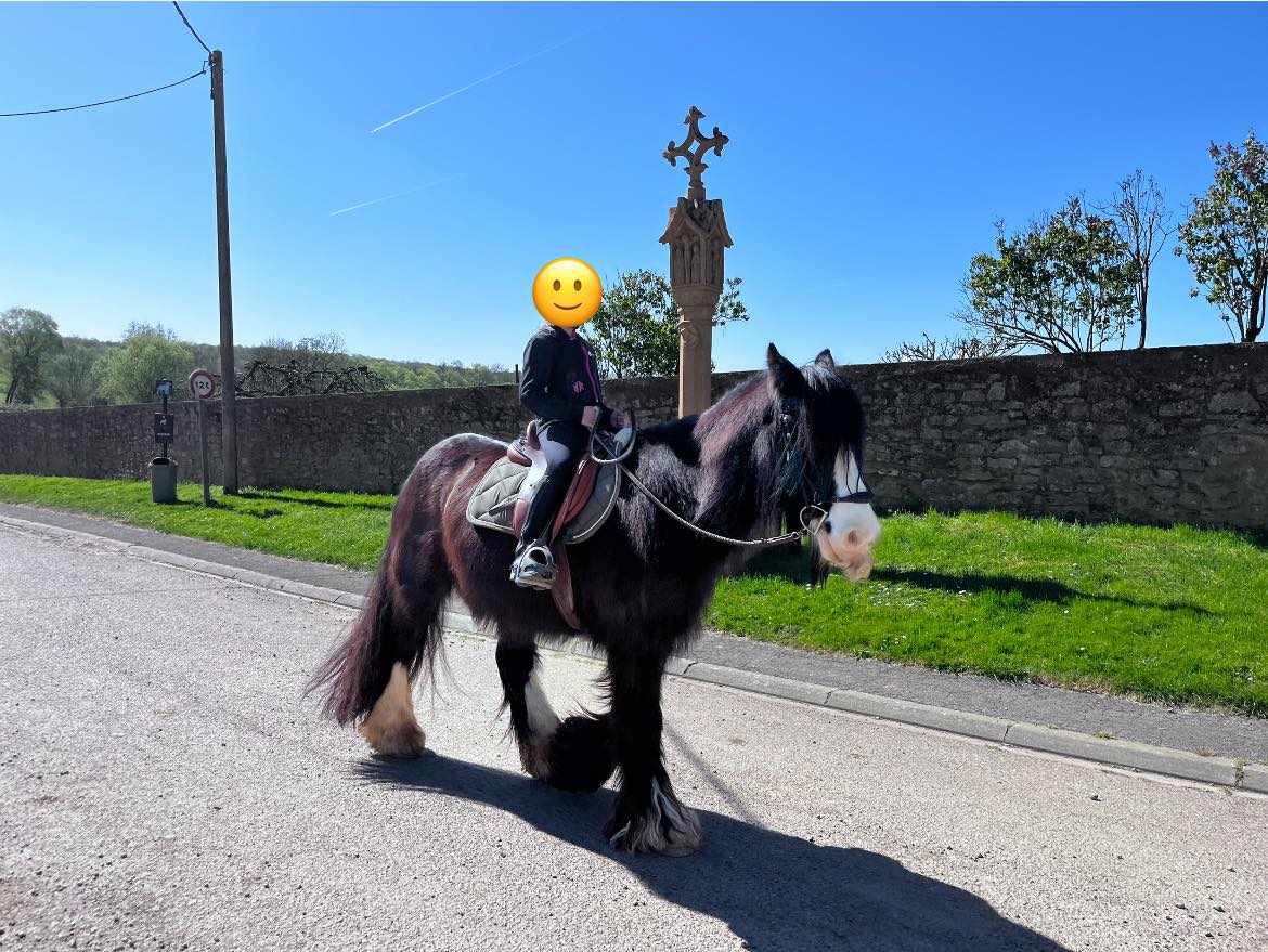 Balade à cheval d'une heure dans les chemins autour de Breistroff-la-Grande, près de Thionville, avec Equi'del