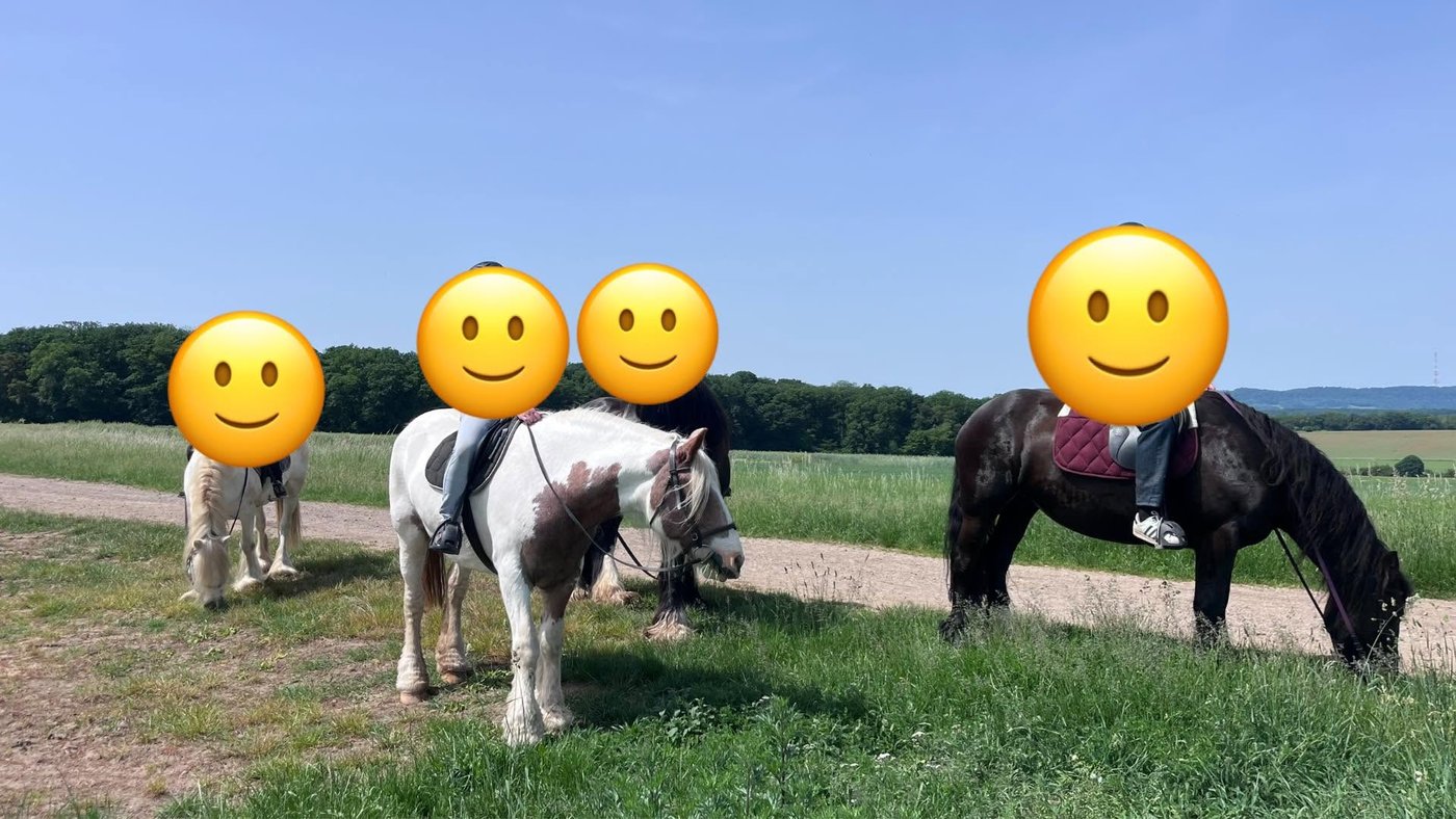 Balade à cheval de deux heures dans les chemins forestiers du Nord-Est de la Moselle, avec Equi'del