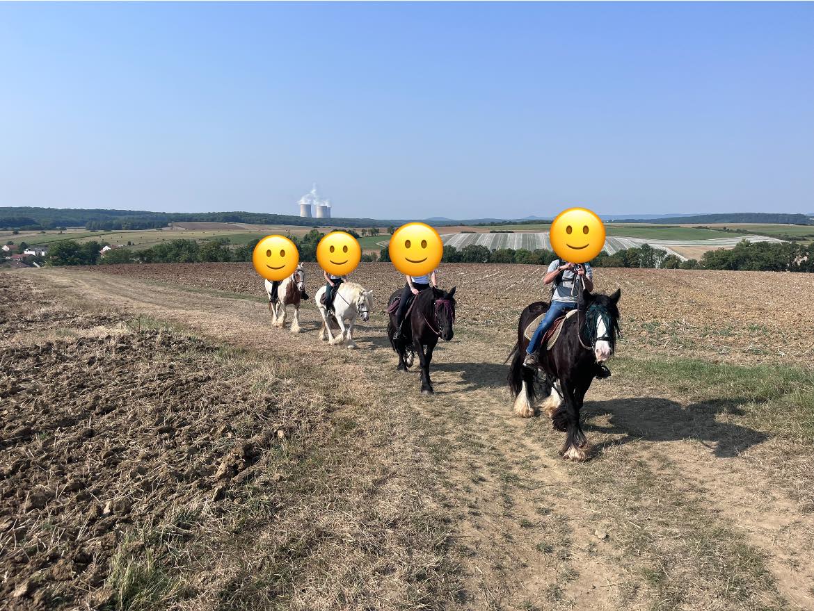 Rando du Dimanche en forêt près de Thionville avec Equi'del