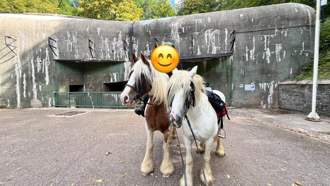 Randonnée équestre à la journée dans les paysages du nord de la Moselle, avec Equi'del